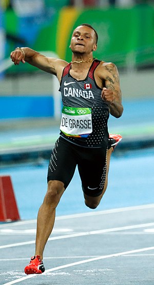 Andre Gold